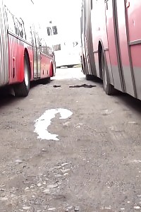 Erotic Blonde Slut Pisses Between Parked Buses